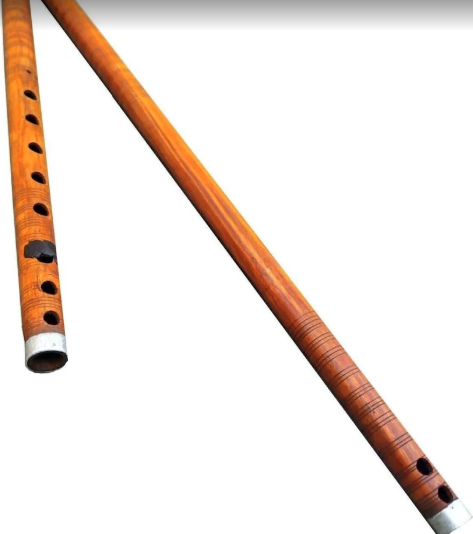 Algoza double flute folk instrument